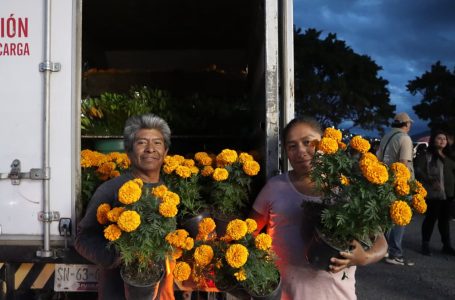 Ariadna Ayala promueve la economía local con la venta de flor de temporada en Atlixco.