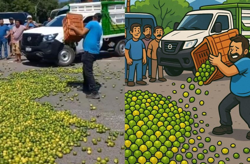 Bloquean carretera con toneladas de limón citricultores y exigen precios justos
