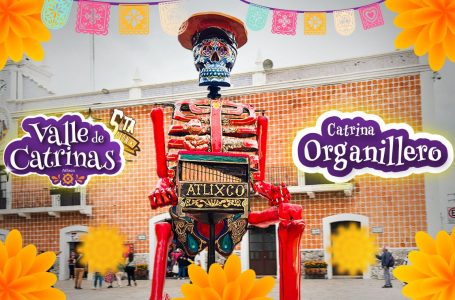 “La catrina del organillero”: un tributo a la música y la tradición en el valle de catrinas.