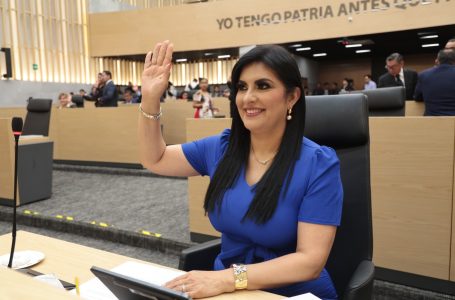 Impulsa Delfina Pozos iniciativa para reconocer y atender la salud mental materna en los servicios de salud pública
