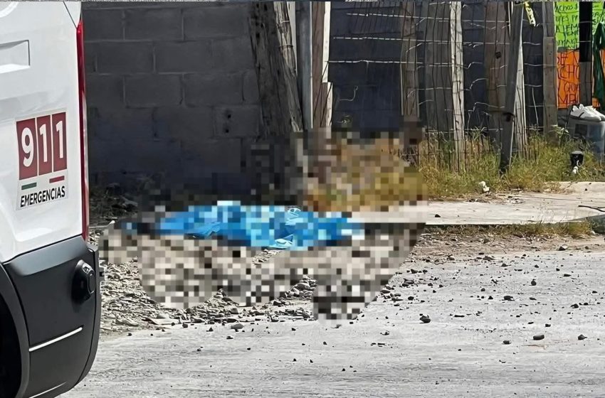 Muere bebé tras ser atropellada por su mamá en Tamaulipas