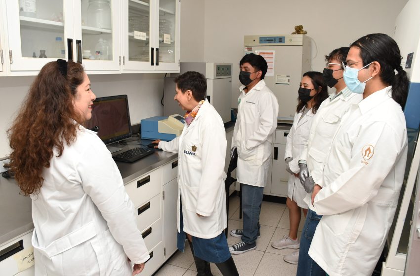 Esteroides anabólicos para tratar patologías con pérdida muscular