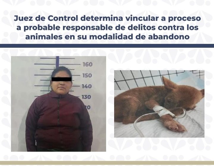 Vinculan a mujer por abandonar a lomito en una veterinaria de Puebla