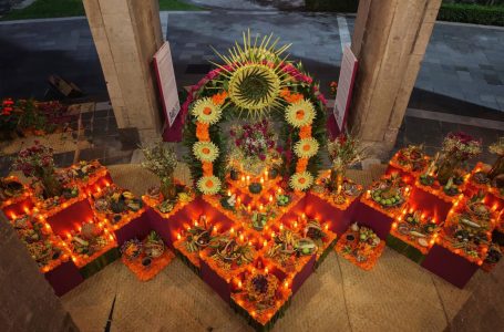 Este año dedicamos ofrenda de Día de Muertos a las mujeres indígenas, las ancestras de México: Presidenta Claudia Sheinbaum