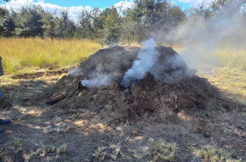 Desmantelan hornos clandestinos en Tlaxcala