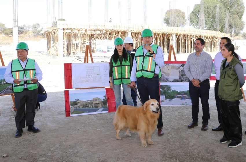Avanza construcción de Centro de Bienestar Animal; dignificará atención de seres sintientes