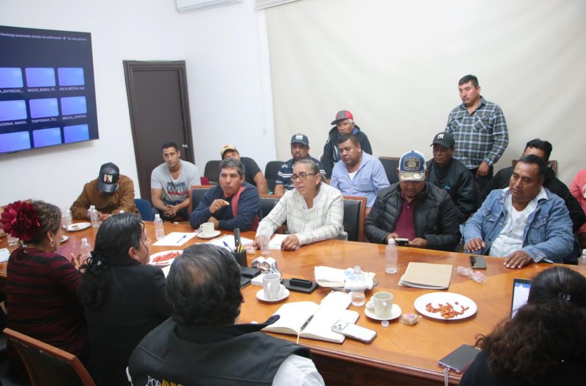 Sorgueros de la mixteca en incertidumbre por precios bajos en la semilla