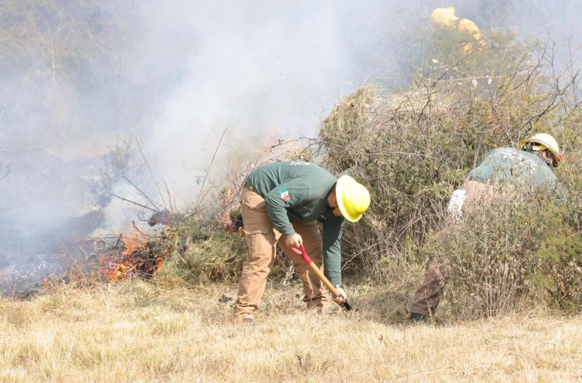 En Puebla, la meta de cero incendios continuará para salvar vidas y a los bosques