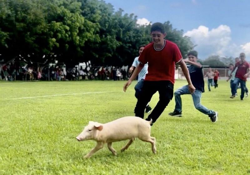 Cancelan «Cerdito Encebado» en Feria Patronal de Puebla