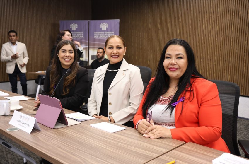 Ante Comisión del Congreso comparece la titular de la Secretaría de las Mujeres