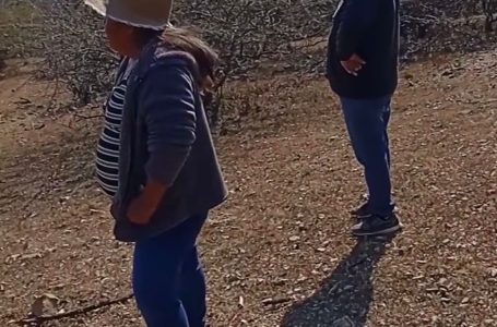 Acusan otra vez a funcionarios de Xochiltepec de invadir un terreno