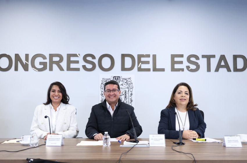 Crear Agencias de Colocación Especializadas para personas con discapacidad, propone la diputada Soledad Amieva