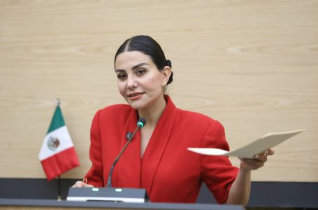 Presenta diputada Nayeli Salvatori iniciativa para incorporar y regular la telemedicina en el Sistema de Salud