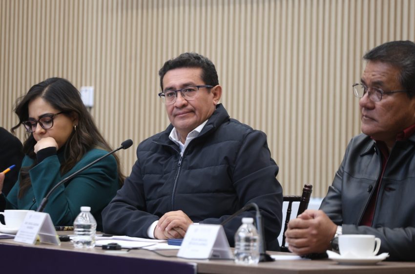 Congreso fortalecerá herramientas de prevención para garantizar la seguridad: Pável Gaspar