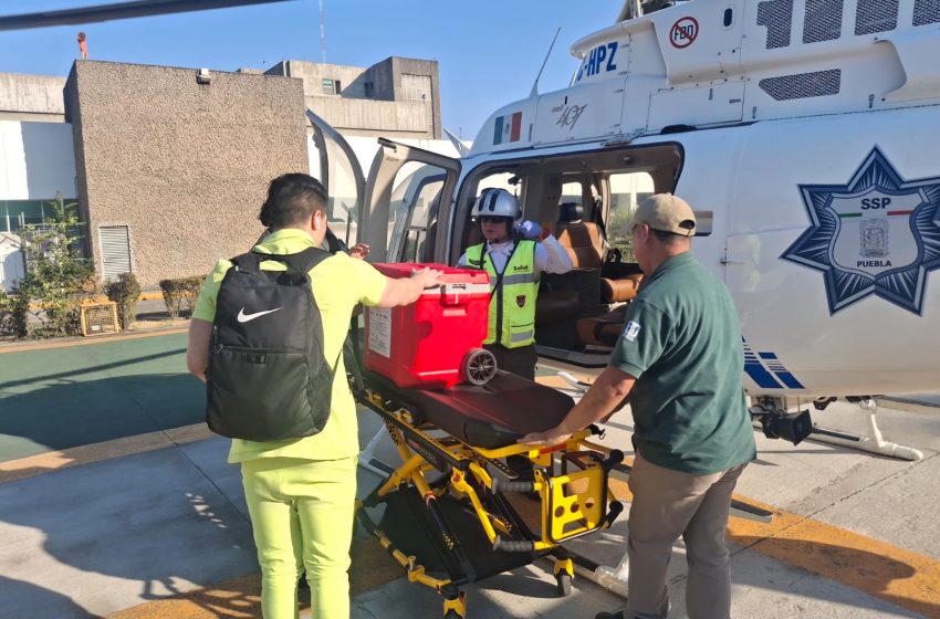 Coordinan traslado aéreo de órganos para trasplante en CDMX