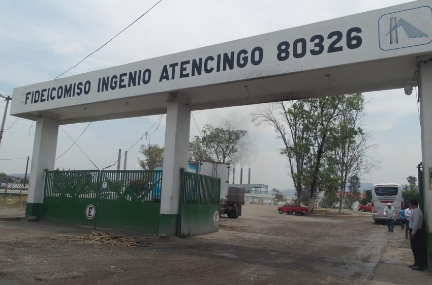 Avanza zafra cañera con buenos resultados en su      etapa final: ULPCA