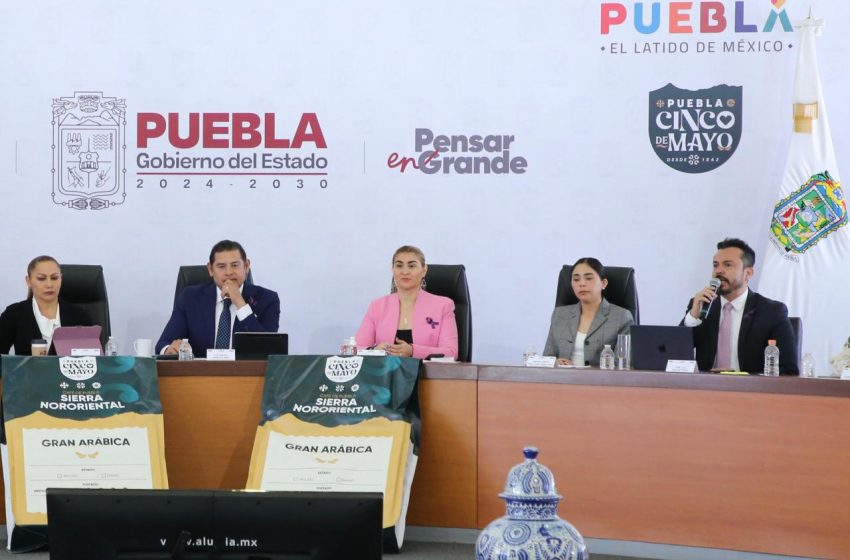 Invita Armenta a ambientalistas a sumarse al cuidado de los bosques poblanos