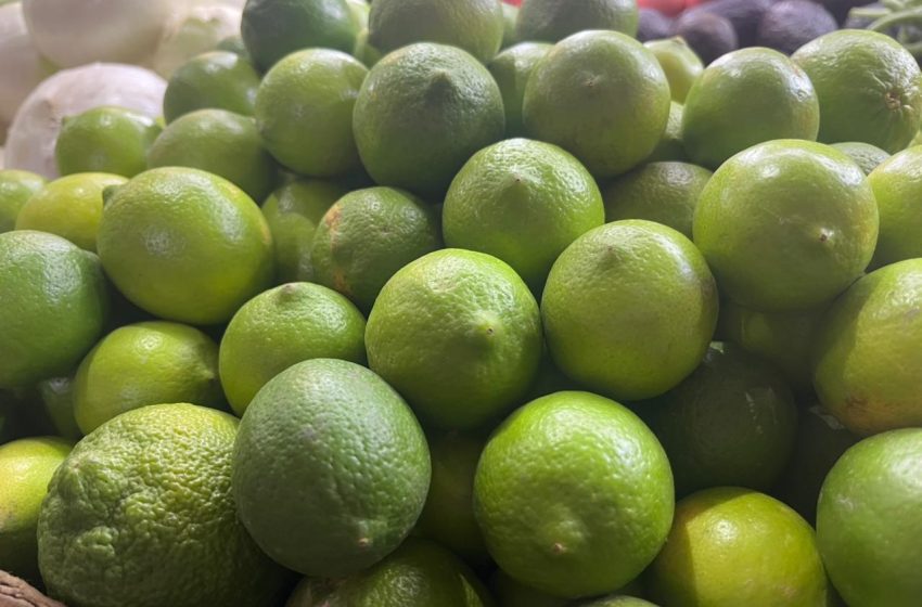Por los cielos el precio del limón, tomate y jitomate en Izúcar de Matamoros
