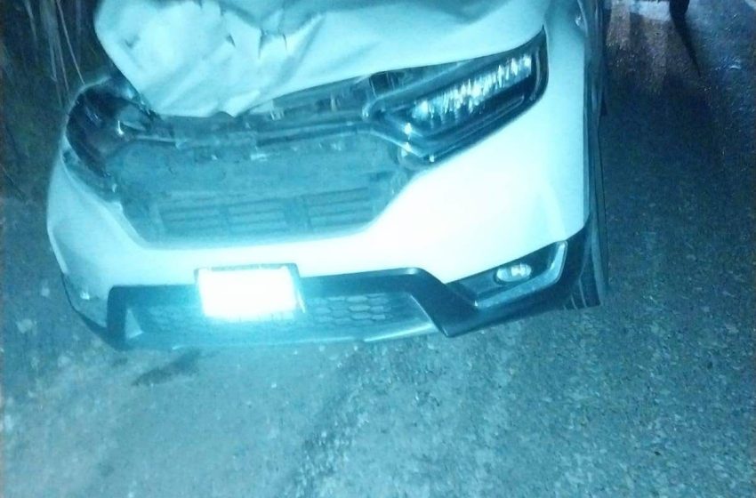 Camioneta se estrella  contra una vaca en tramo  carretero de Izúcar