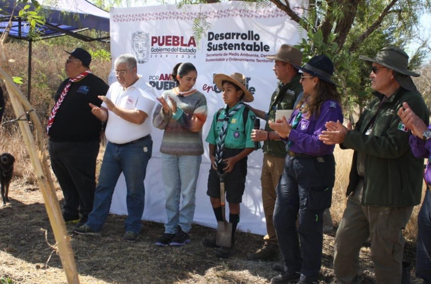 Gobierno de Puebla, fundaciones y población reforestan Parque Bicentenario