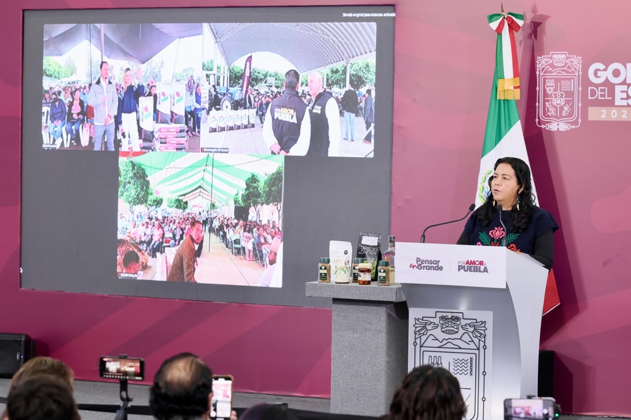 Impulsan siembra de sorgo en la región de Izúcar; benefician a más de mil productores