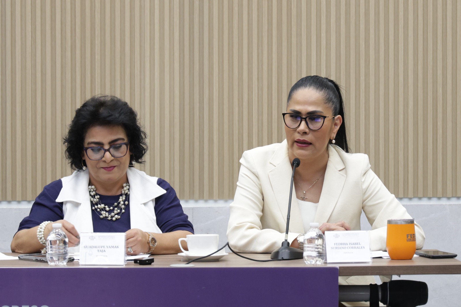 Impulsa diputada Fedrha Suriano seguridad de cuentahabientes, sanción a “montachoques” y certeza electoral