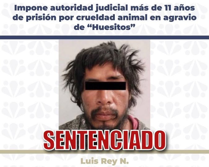 ¡Histórico! Se obtiene máxima condena por crueldad animal en México
