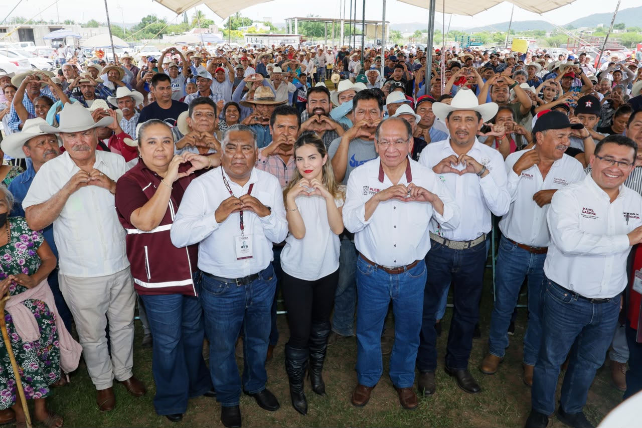 Con entrega oportuna de insumos, Gobierno Estatal fortalece productividad en la Mixteca