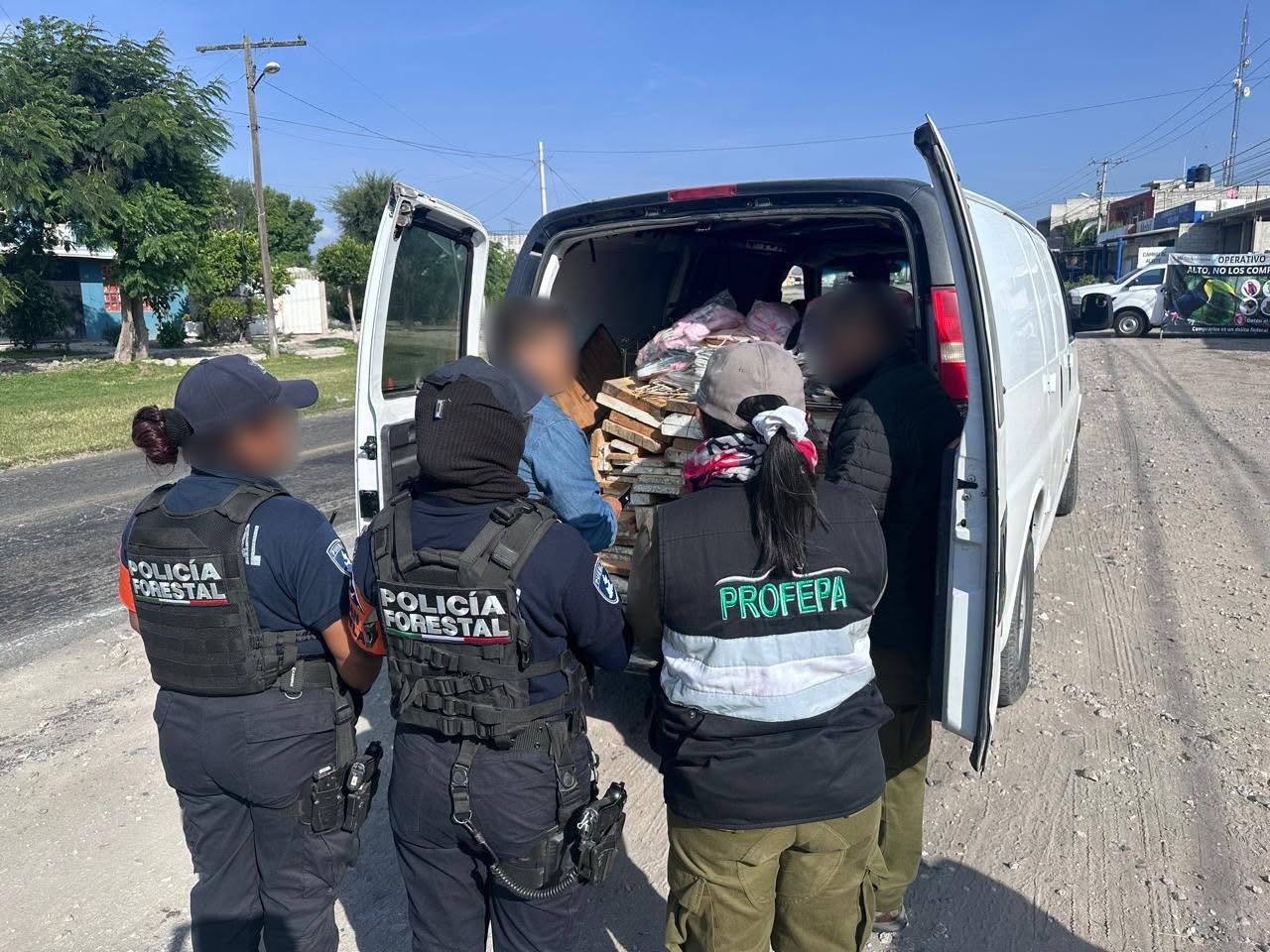Profepa asegura 58 aves y siete orquídeas tras operativo en Puebla