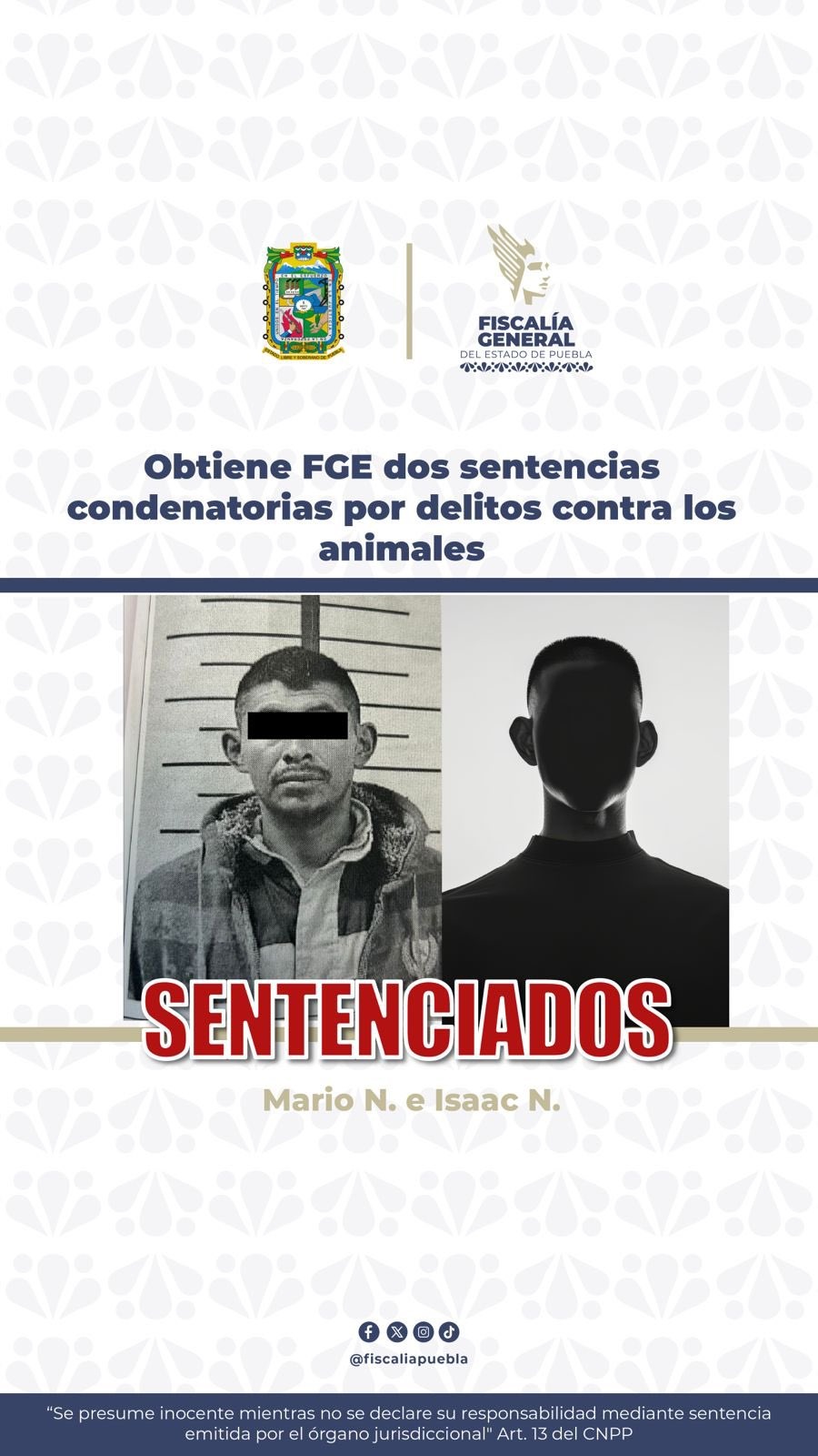 Sentencian a casi siete años de prisión a hombre que mató a un perro en Quimixtlán