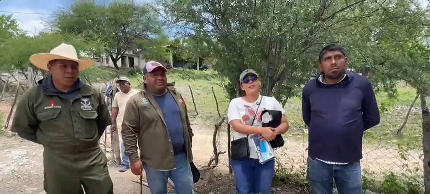 Se previenen del gusano barrenador en Tehuitzingo